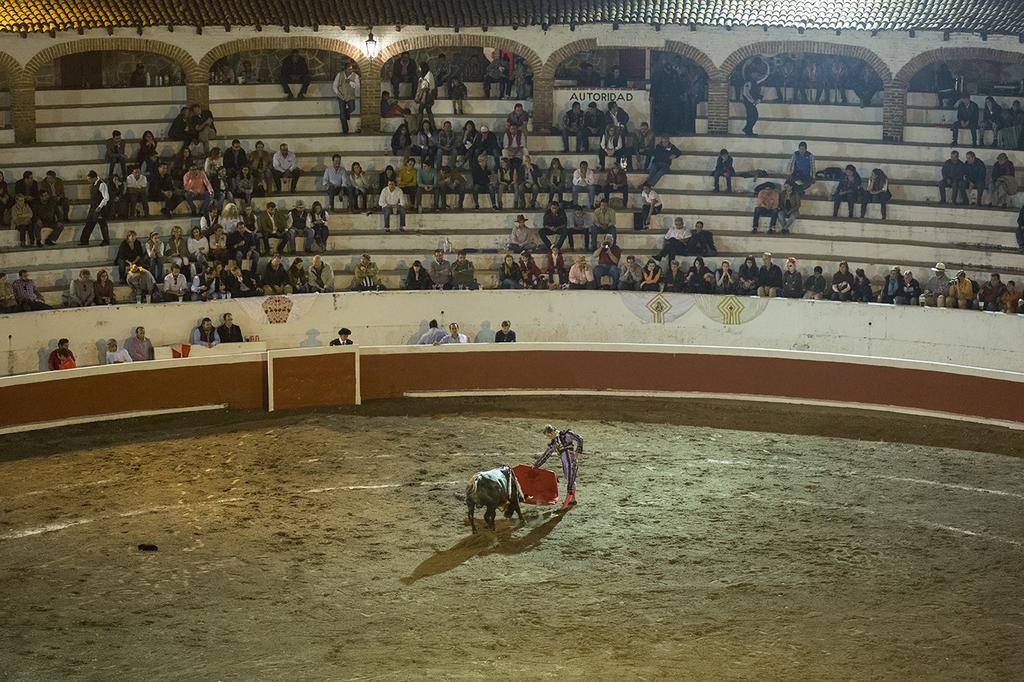 Casa Huertas 22 Lejlighed San Miguel de Allende Eksteriør billede